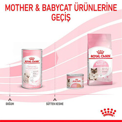 Royal Canin Babycat Milk Yavru Kedi Süt Tozu 300 Gr - Thumbnail