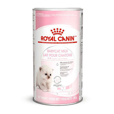 Royal Canin Babycat Milk Yavru Kedi Süt Tozu 300 Gr 