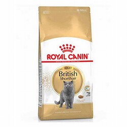 Royal Canin Kedi Mamaları - Royal Canin British Shorthair Adult Yetişkin Kedi Maması 4 Kg 