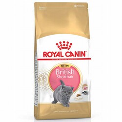 Royal Canin Kedi Mamaları - Royal Canin British Shorthair Kitten Yavru Kedi Maması 2 Kg 