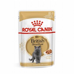 Royal Canin - Royal Canin British Shorthair Adult Pouch Yetişkin Kedi Konservesi 85 Gr 