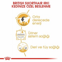 Royal Canin British Shorthair Adult Pouch Yetişkin Kedi Konservesi 85 Gr - Thumbnail