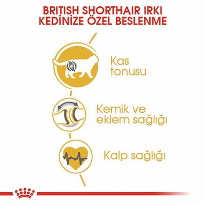 Royal Canin British Shorthair Adult Yetişkin Kedi Maması 400 Gr 