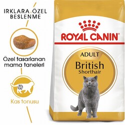 Royal Canin British Shorthair Adult Yetişkin Kedi Maması 400 Gr - Thumbnail