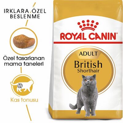 Royal Canin British Shorthair Adult Yetişkin Kedi Maması 400 Gr 