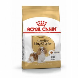 Royal Canin - Royal Canin Cavalier King Charles Adult Yetişkin Köpek Maması 1,5 Kg 