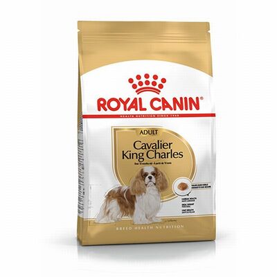 Royal Canin Cavalier King Charles Adult Yetişkin Köpek Maması 1,5 Kg 