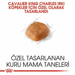 Royal Canin Cavalier King Charles Adult Yetişkin Köpek Maması 1,5 Kg - Thumbnail