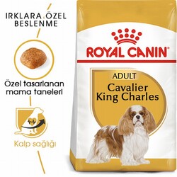 Royal Canin Cavalier King Charles Adult Yetişkin Köpek Maması 1,5 Kg - Thumbnail