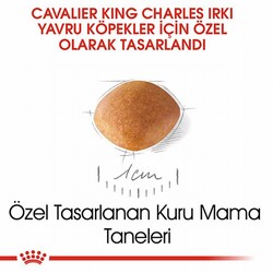 Royal Canin Cavalier King Charles Puppy Yavru Köpek Maması 1,5 Kg - Thumbnail