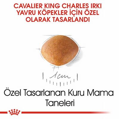 Royal Canin Cavalier King Charles Puppy Yavru Köpek Maması 1,5 Kg 