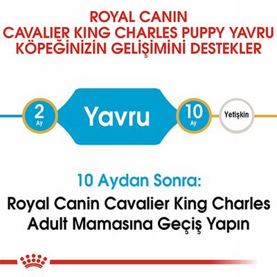 Royal Canin Cavalier King Charles Puppy Yavru Köpek Maması 1,5 Kg 