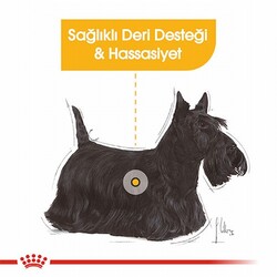 Royal Canin Ccn Dermacomfort Loaf Pate Pouch Küçük Irk Yetişkin Köpek Konservesi 85 Gr - Thumbnail