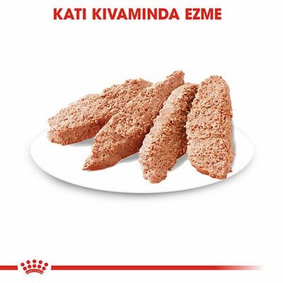 Royal Canin Ccn Exigent Loaf Pate Pouch Küçük Irk Yetişkin Köpek Konservesi 85 Gr 