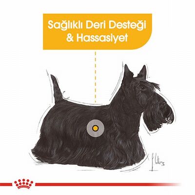 Royal Canin Ccn Dermacomfort Loaf Pate Pouch Küçük Irk Yetişkin Köpek Konservesi 6 Adet 85 Gr 