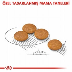 Royal Canin Ccn Mini Dermacomfort Adult Küçük Irk Yetişkin Köpek Maması 3 Kg - Thumbnail