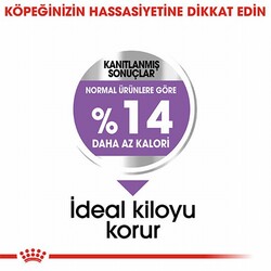 Royal Canin Ccn Mini Sterilised Küçük Irk Kısırlaştırılmış Köpek Maması 3 Kg - Thumbnail