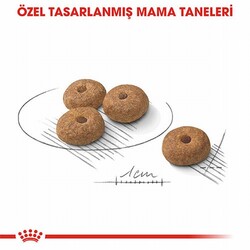 Royal Canin Ccn Mini Sterilised Küçük Irk Kısırlaştırılmış Köpek Maması 3 Kg - Thumbnail