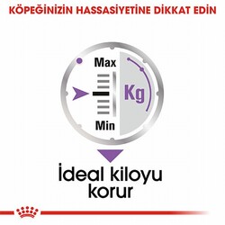 Royal Canin Ccn Sterilised Pouch Kısırlaştırılmış Köpek Konservesi 85 Gr - Thumbnail