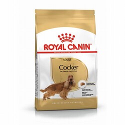 Royal Canin - Royal Canin Cocker Spaniel Adult Yetişkin Köpek Maması 3 Kg 