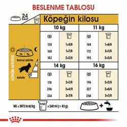 Royal Canin Cocker Spaniel Adult Yetişkin Köpek Maması 3 Kg - Thumbnail