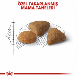 Royal Canin Savour Exigent Seçici Kediler İçin Yetişkin Kedi Maması 400 Gr - Thumbnail