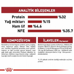 Royal Canin Fit 32 Adult Yetişkin Kedi Maması 10 Kg - Thumbnail