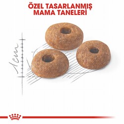 Royal Canin Fit 32 Adult Yetişkin Kedi Maması 400 Gr - Thumbnail