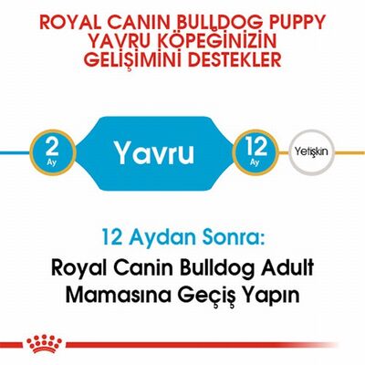 Royal Canin French Bulldog Puppy Yavru Köpek Maması 3 Kg 