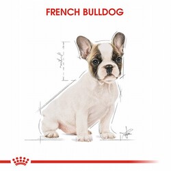 Royal Canin French Bulldog Puppy Yavru Köpek Maması 3 Kg - Thumbnail