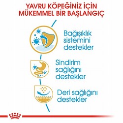 Royal Canin French Bulldog Puppy Yavru Köpek Maması 3 Kg - Thumbnail