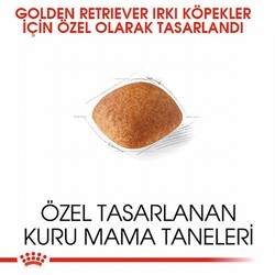 Royal Canin Golden Retriever Adult Yetişkin Köpek Maması 12 Kg - Thumbnail