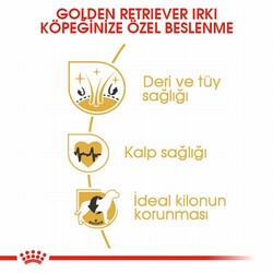 Royal Canin Golden Retriever Adult Yetişkin Köpek Maması 12 Kg - Thumbnail