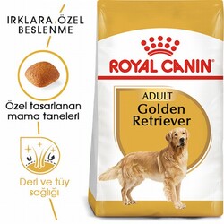 Royal Canin Golden Retriever Adult Yetişkin Köpek Maması 12 Kg - Thumbnail