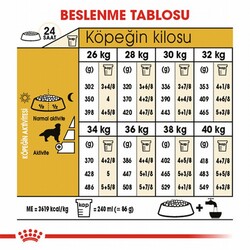 Royal Canin Golden Retriever Adult Yetişkin Köpek Maması 12 Kg - Thumbnail