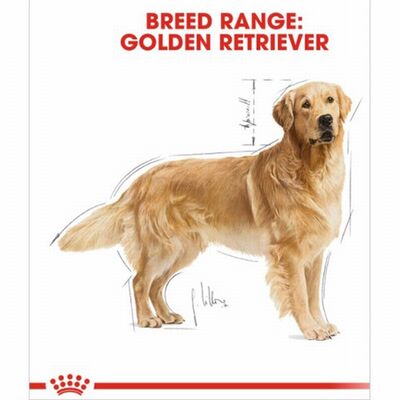 Royal Canin Golden Retriever Adult Yetişkin Köpek Maması 12 Kg 