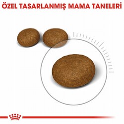 Royal Canin Hair Skin Adult Hassas Tüy Sağlığı Yetişkin Kedi Maması 4 Kg - Thumbnail