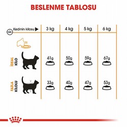 Royal Canin Hair Skin Adult Hassas Tüy Sağlığı Yetişkin Kedi Maması 4 Kg - Thumbnail