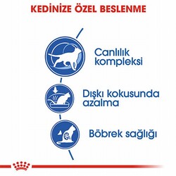 Royal Canin İndoor 7+ Evde Yaşayan Yaşlı Kedi Maması 1,5 Kg - Thumbnail