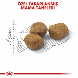 Royal Canin İndoor 7+ Evde Yaşayan Yaşlı Kedi Maması 1,5 Kg - Thumbnail