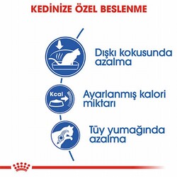 Royal Canin Indoor 27 Evde Yaşayan Yetişkin Kedi Maması 400 Gr - Thumbnail