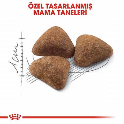 Royal Canin Indoor 27 Evde Yaşayan Yetişkin Kedi Maması 400 Gr 