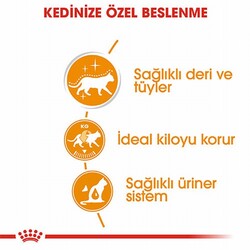 Royal Canin Intense Beauty Gravy Pouch Yetişkin Kedi Konservesi 12 Adet 85 Gr - Thumbnail