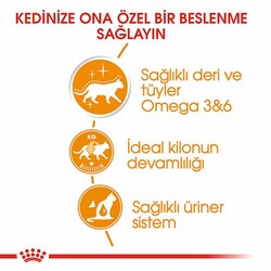 Royal Canin İntense Beauty Jelly Pouch Yetişkin Kedi Konservesi 12 Adet 85 Gr - Thumbnail