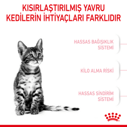 Royal Canin Kitten Sterilised Kısırlaştırılmış Yavru Kedi Maması 2 Kg - Thumbnail