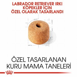 Royal Canin Labrador Retriever Adult Yetişkin Köpek Maması 12 Kg - Thumbnail