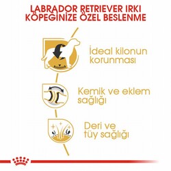 Royal Canin Labrador Retriever Adult Yetişkin Köpek Maması 12 Kg - Thumbnail