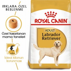 Royal Canin Labrador Retriever Adult Yetişkin Köpek Maması 12 Kg - Thumbnail