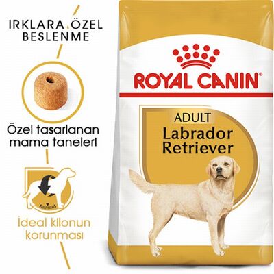 Royal Canin Labrador Retriever Adult Yetişkin Köpek Maması 12 Kg 