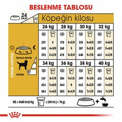 Royal Canin Labrador Retriever Adult Yetişkin Köpek Maması 12 Kg - Thumbnail